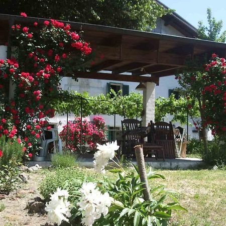 Casa Di Alfredo B&B - Citr9039 Mioglia Εξωτερικό φωτογραφία